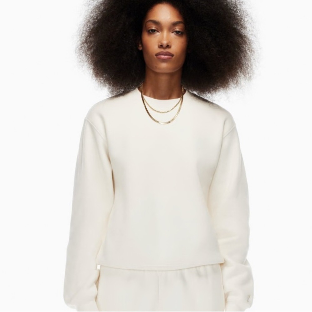 Aritzia Boyfriend Crewneck Sweatshirt